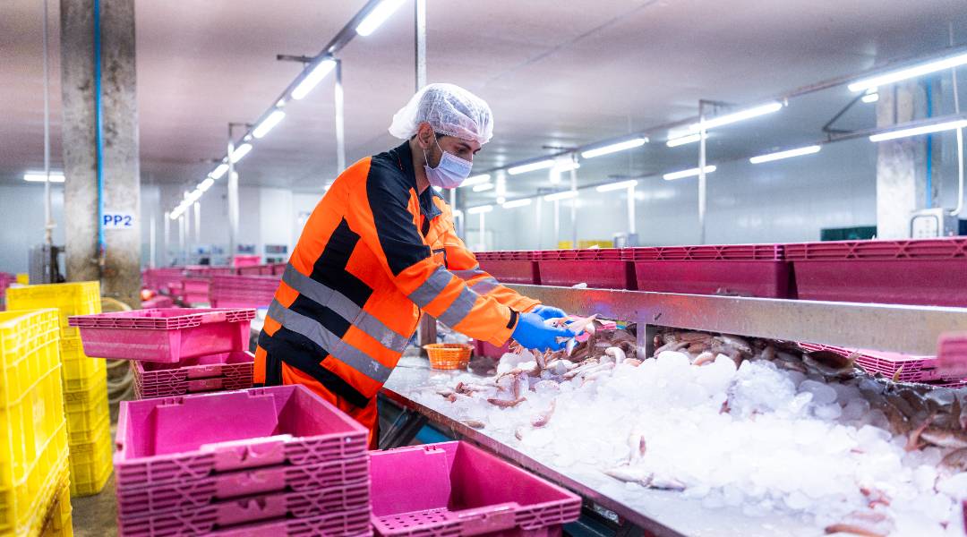 Errores críticos al medir temperatura en procesos de cadena de frío